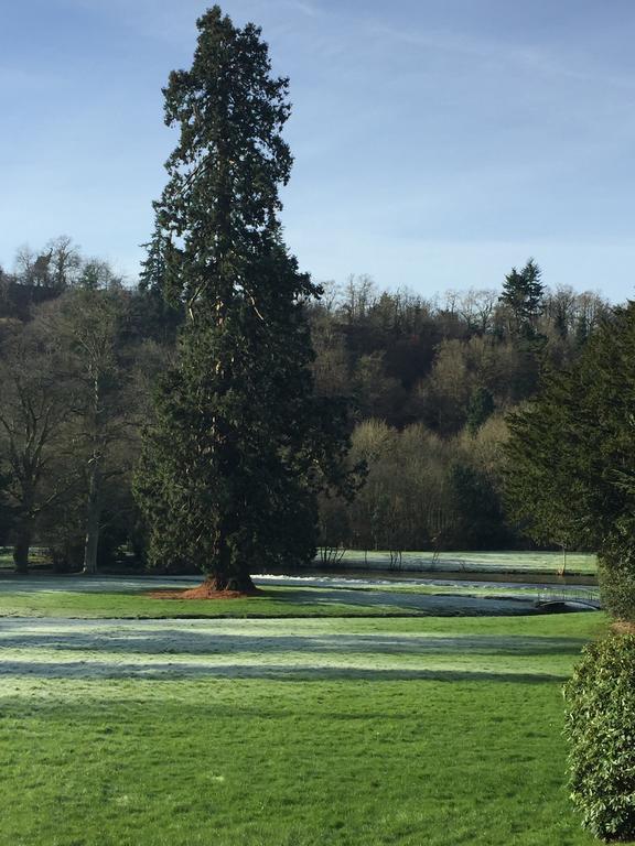 Le Manoir De Benedicte B&B Cahan Bagian luar foto