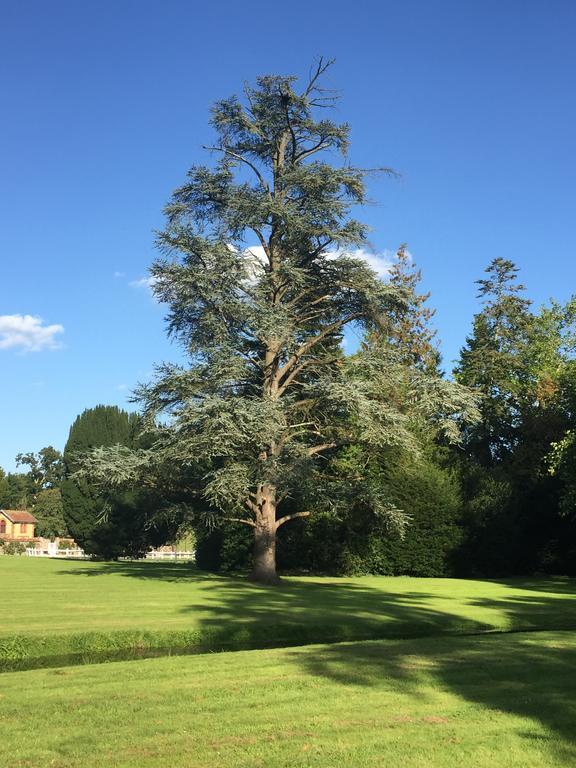 Le Manoir De Benedicte B&B Cahan Bagian luar foto